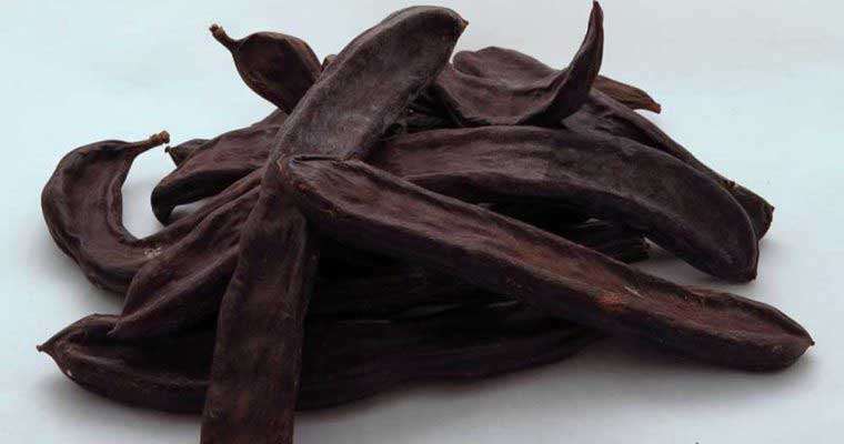 گیاه فلوس چه خواصی دارد