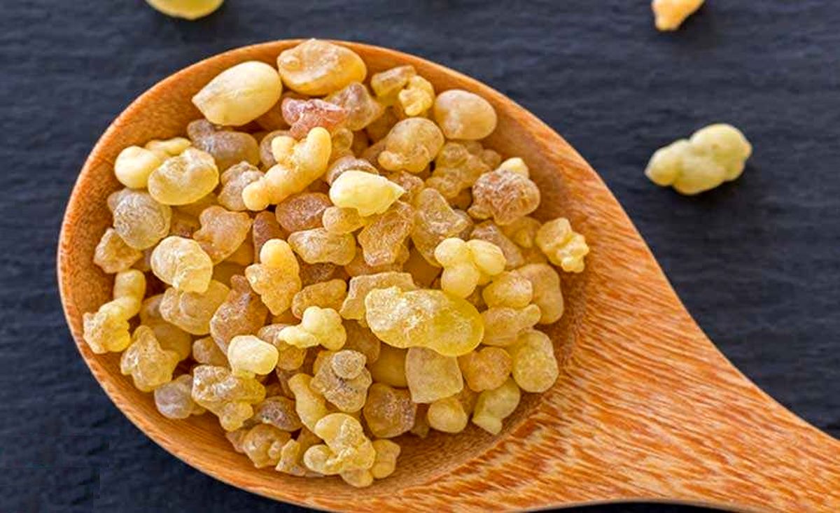 معده را با کندر پاکسازی کنید