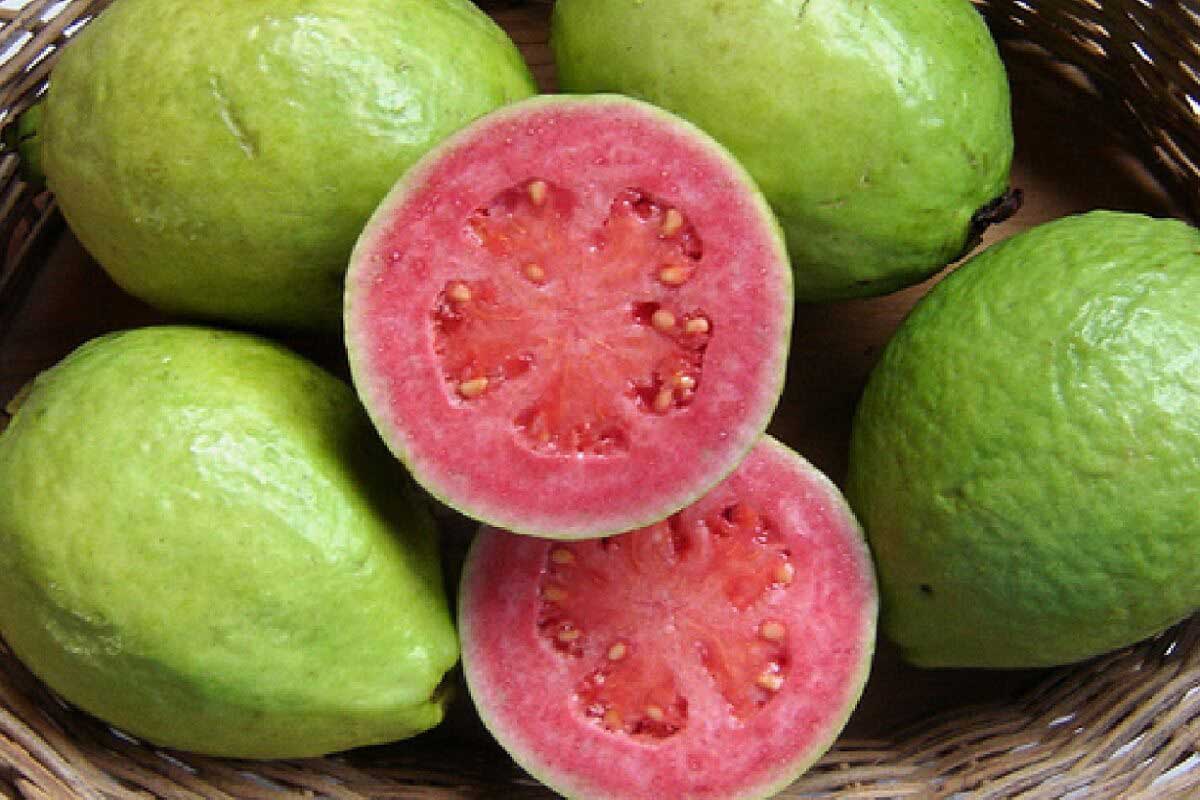 میوه های استوایی پرخاصیت و معجزگر