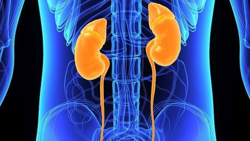 علل علائم تشخیص و درمان بیماری اورتروسل یا کلیه دوبلکس
