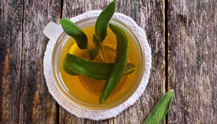 خواص گیاه مریم گلی برای سلامتی و زیبایی