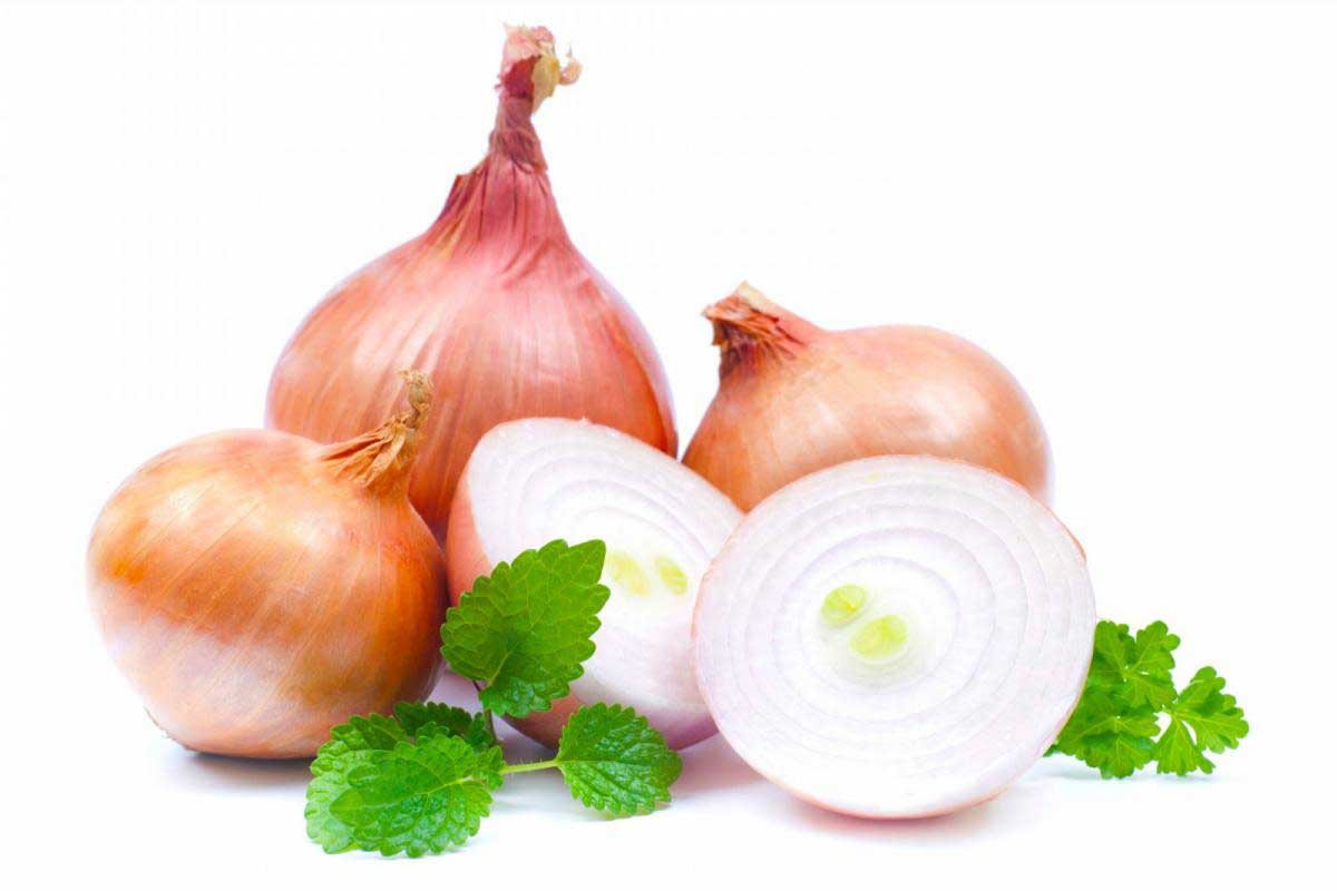 ۱۰ فایده پیاز برای سلامتی که تا حالا نمیدانستید