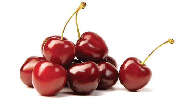 ۱۱ فایده آلبالو و گیلاس برای سلامتی