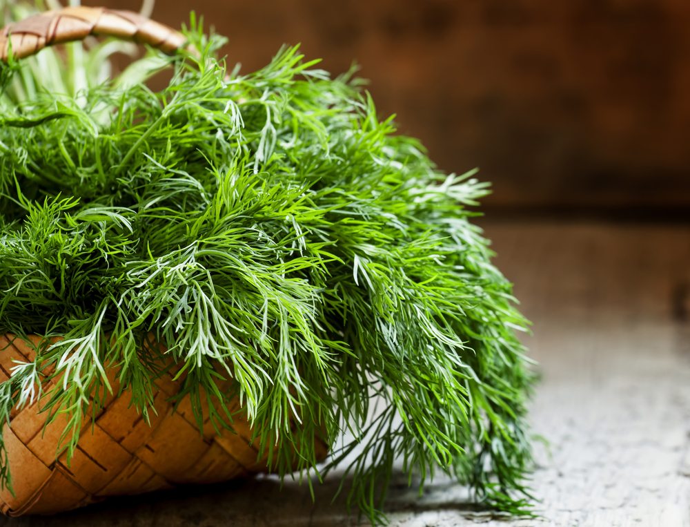 کاهش چربی خون با مصرف این گیاهان