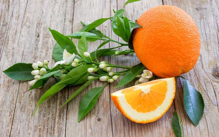 نارنج خواص نارنج برای سلامت بدن و عوارض آن
