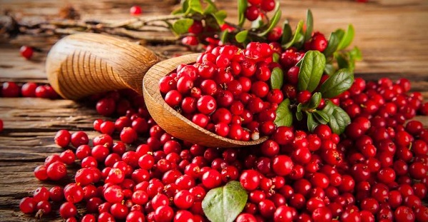 عفونت ادراری خود را به صورت سنتی درمان کنید