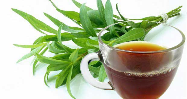 چای ترخون درمان شگفت انگیز و فواید چای ترخون