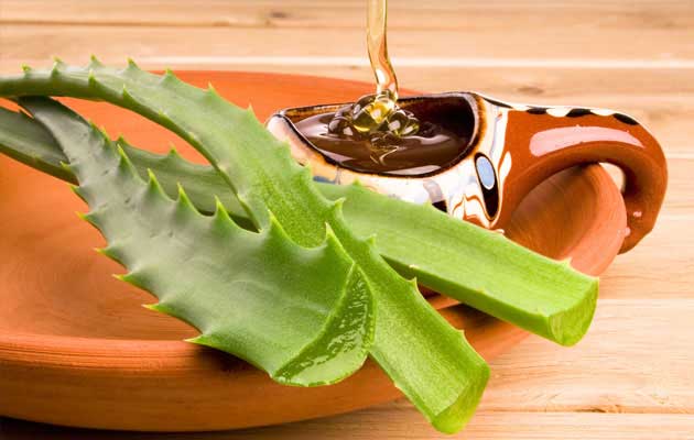 خواص آلوئه ورا :۱۲ خاصیت آلوئه ورا برای سلامتی