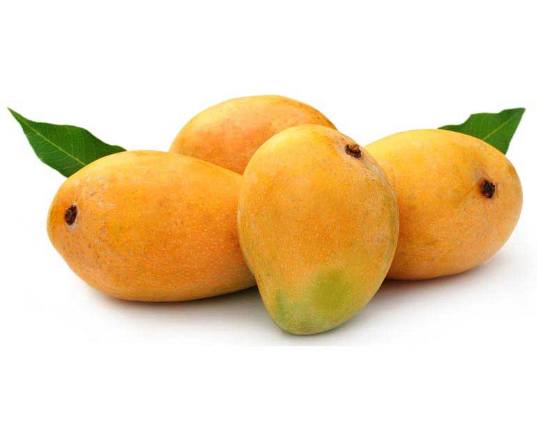 میوه های استوایی پرخاصیت و معجزگر