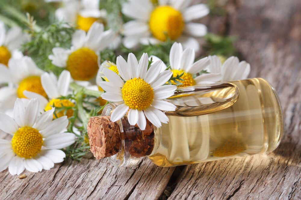 به جای قرص خواب این گیاهان را بخورید!