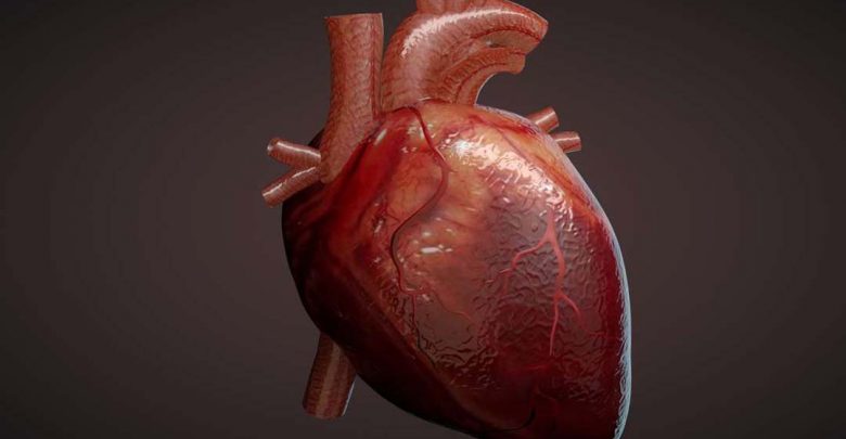 متخصص قلب و عروق و ویژگی ها و وظایف آن