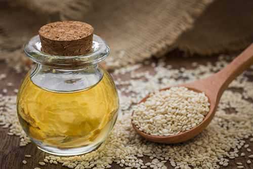 انواع روغن های گیاهی برای مراقبت از پوست و مو انواع روغن های گیاهی برای مراقبت از پوست و مو