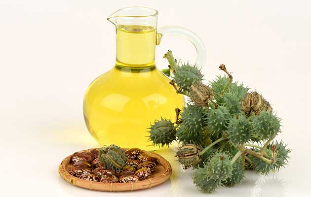 خواص روغن کرچک برای سلامتی و زیبایی خواص روغن کرچک برای سلامتی و زیبایی