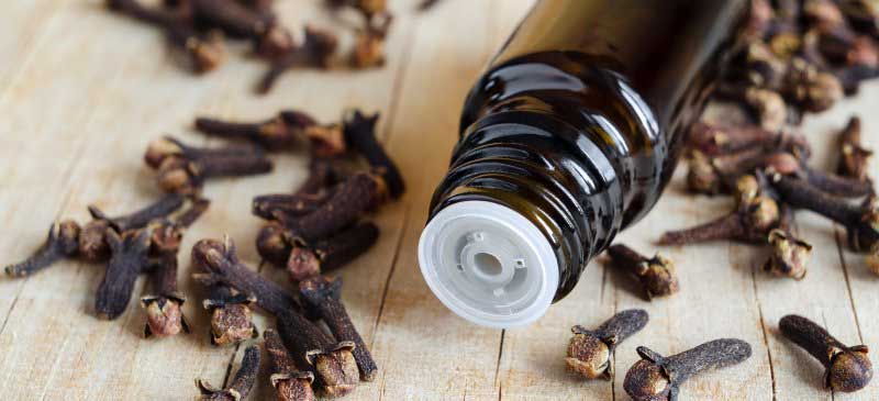 خواص روغن میخک
