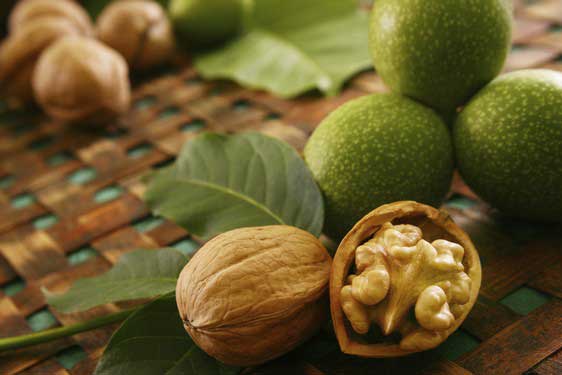 خواص گردو برای سلامتی