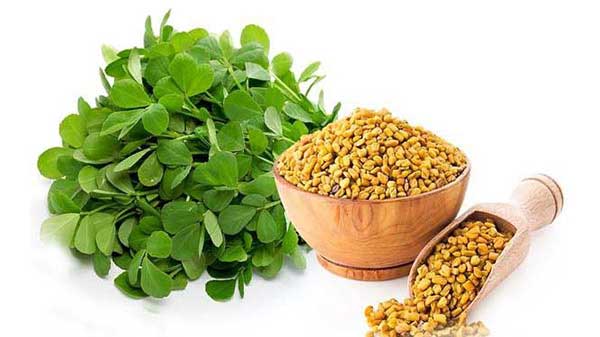 ۱۰ فایده شگفت‌ انگیز دانه و برگ شنبلیله