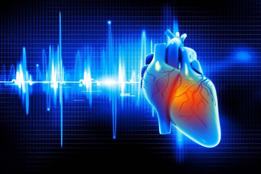 تست های الکتروفیزیولوژیک قلب چیستند؟