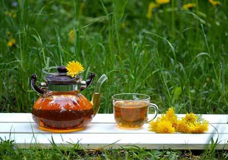 داروهای گیاهی برای تقویت بینایی