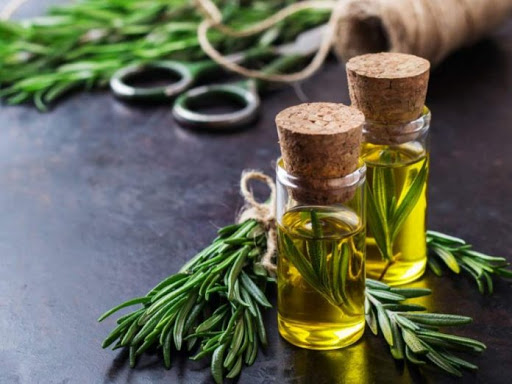 خواص دارویی و درمانی گیاه رزماری