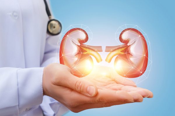 کلیه پلی کیستیک علت خطرات درمان و پیشگیری از آن